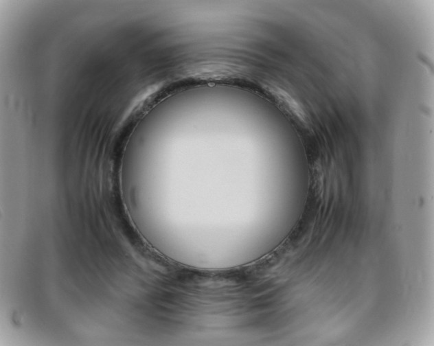 X0000095940400200801110859