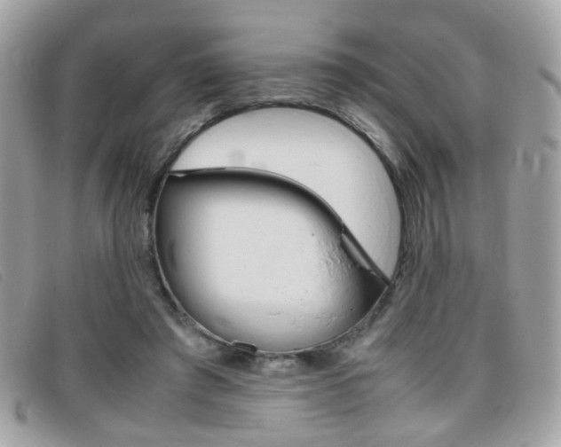 X0000095940401200801110859