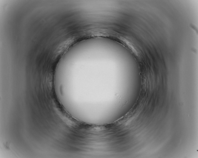 X0000095940402200801110859
