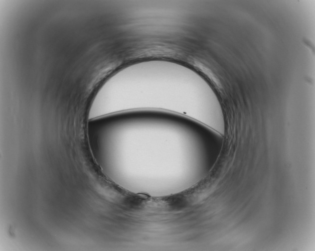X0000095940403200801110859