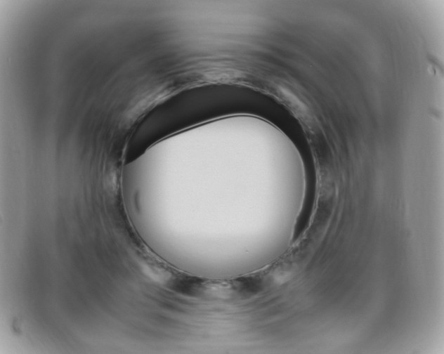 X0000095940405200801110859