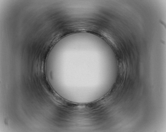 X0000095940406200801110859