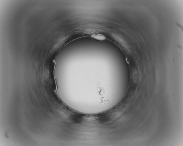 X0000095940407200801110859