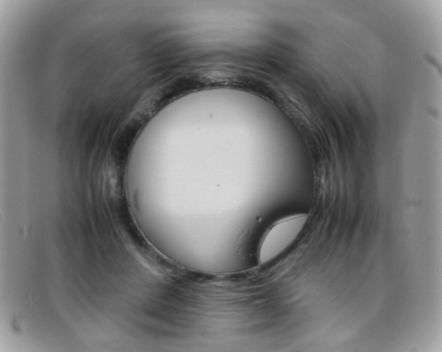 X0000095940408200801110859