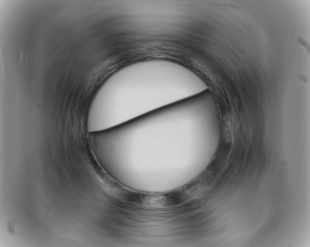 X0000095940410200801110859