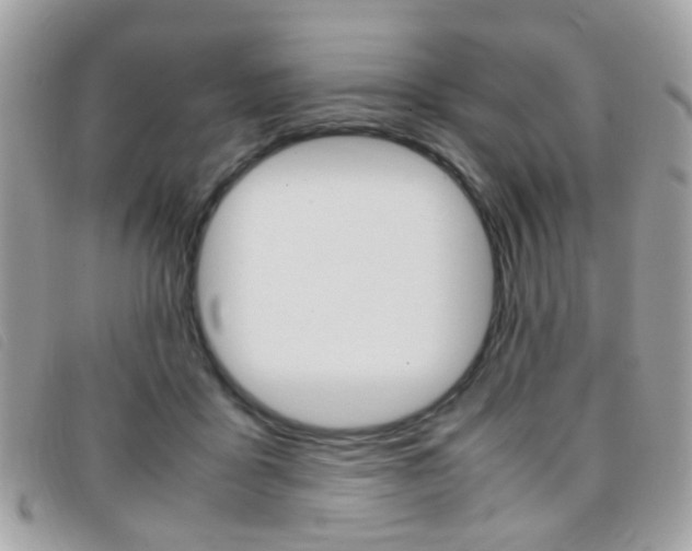 X0000095940411200801110859
