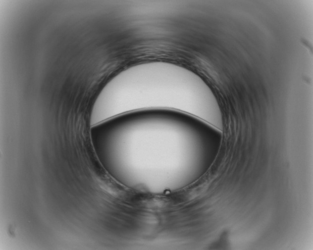 X0000095940412200801110859