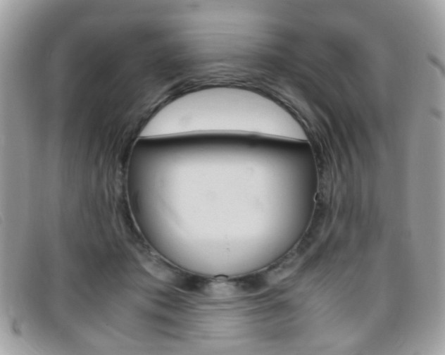 X0000095940413200801110858