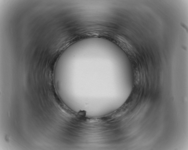 X0000095940414200801110858