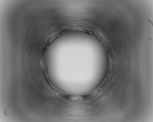 X0000095940415200801110858