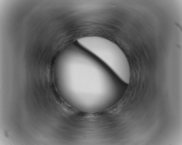 X0000095940416200801110858