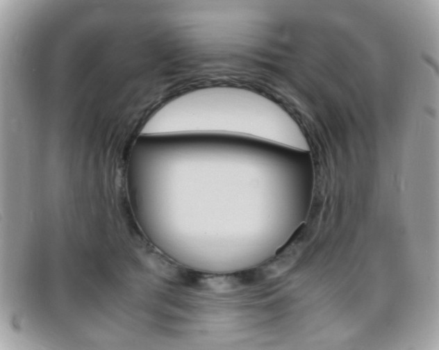 X0000095940417200801110858