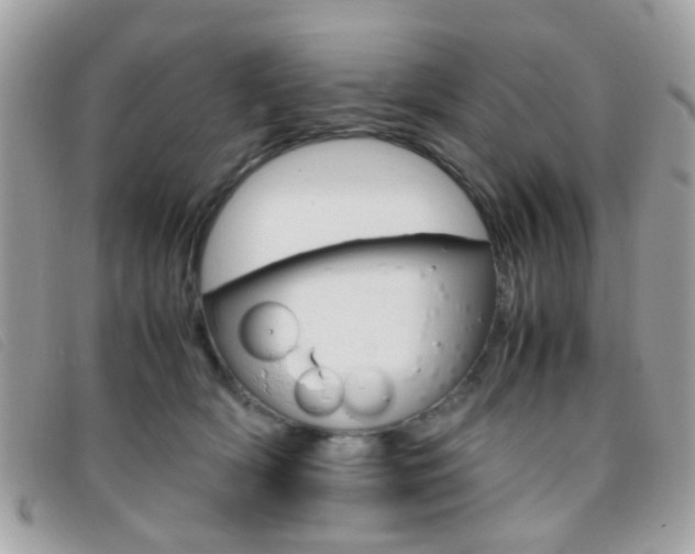 X0000095940418200801110858