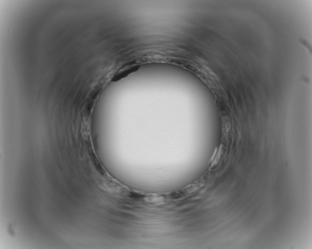 X0000095940419200801110858