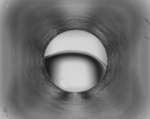 X0000095940421200801110858