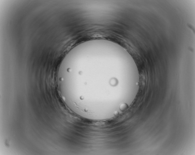 X0000095940422200801110858