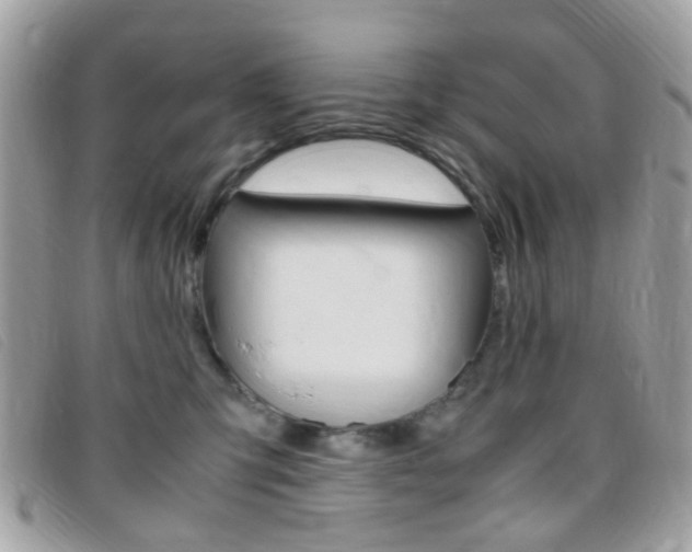 X0000095940423200801110858