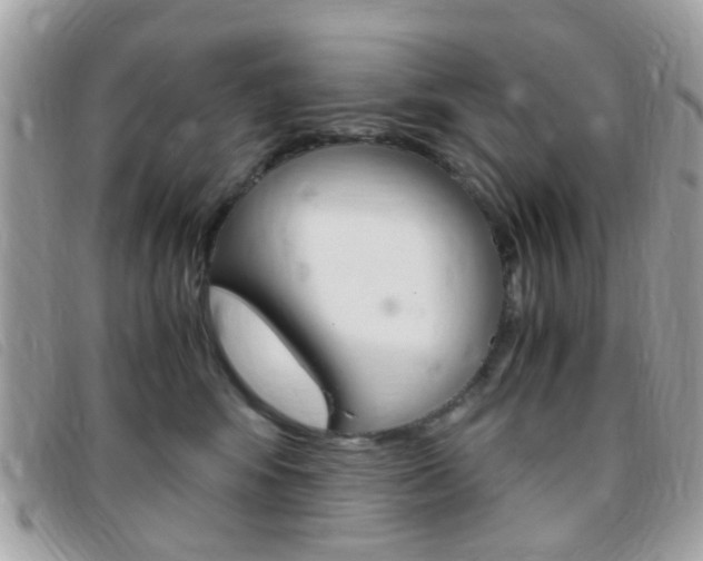 X0000095940424200801110858