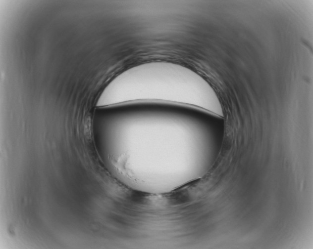 X0000095940425200801110858