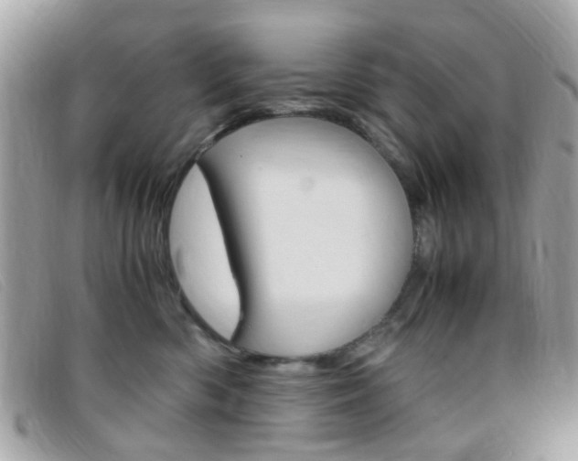 X0000095940426200801110858
