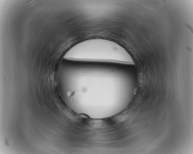 X0000095940428200801110858