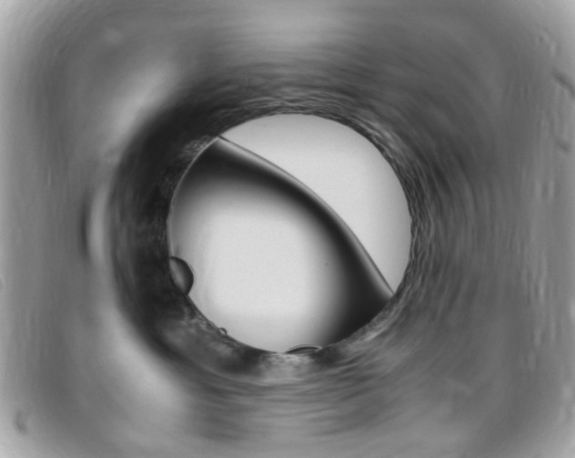 X0000095940429200801110858