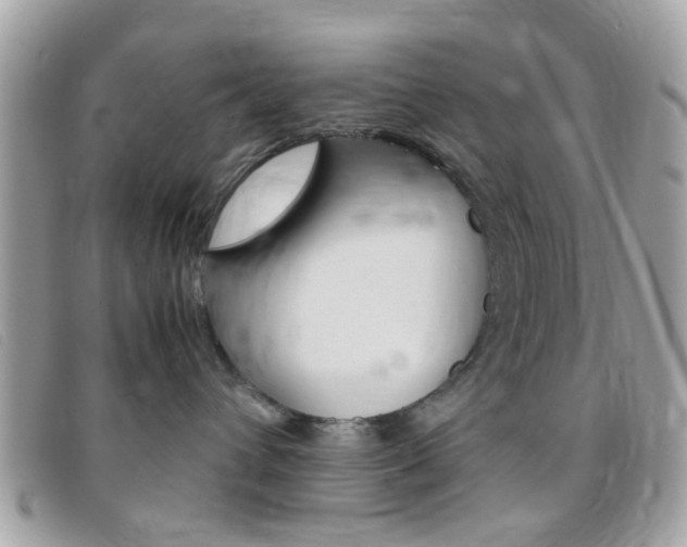 X0000095940432200801110858