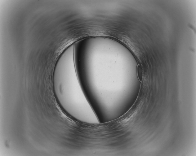 X0000095940433200801110858