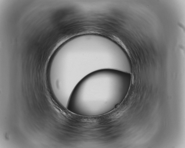 X0000095940435200801110858