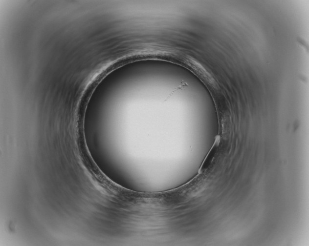 X0000095940436200801110858