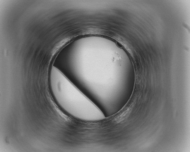 X0000095940437200801110858