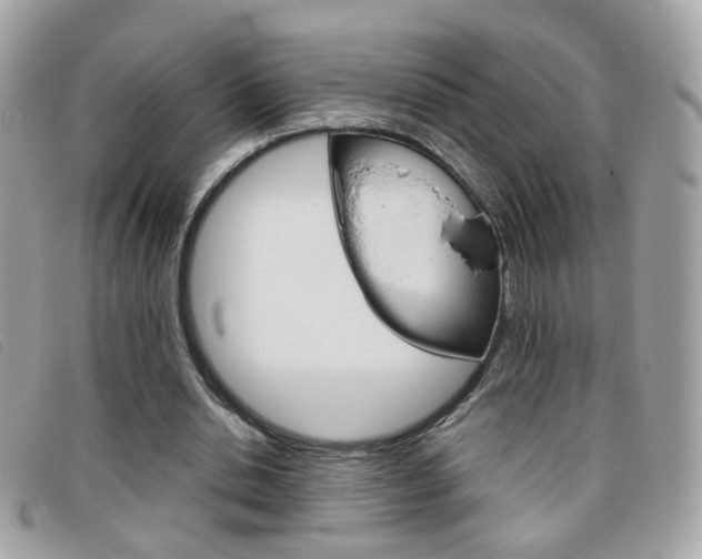 X0000095940438200801110858