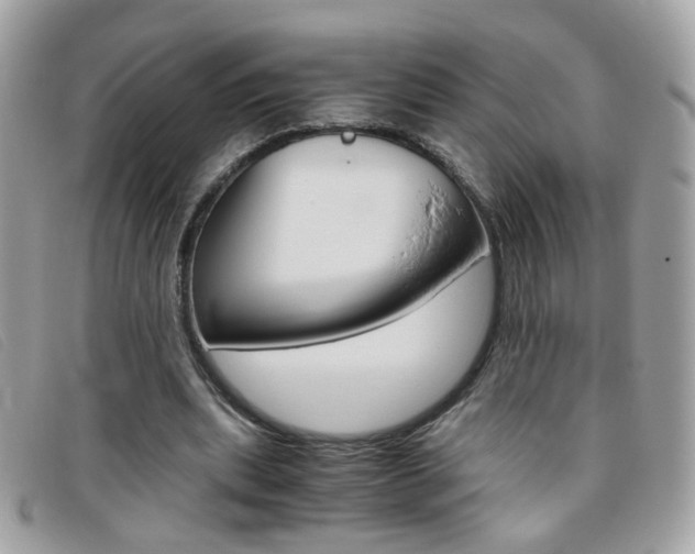 X0000095940439200801110858