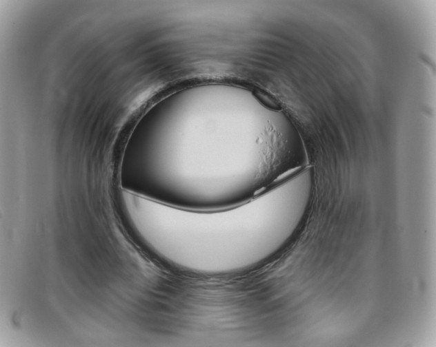 X0000095940440200801110858