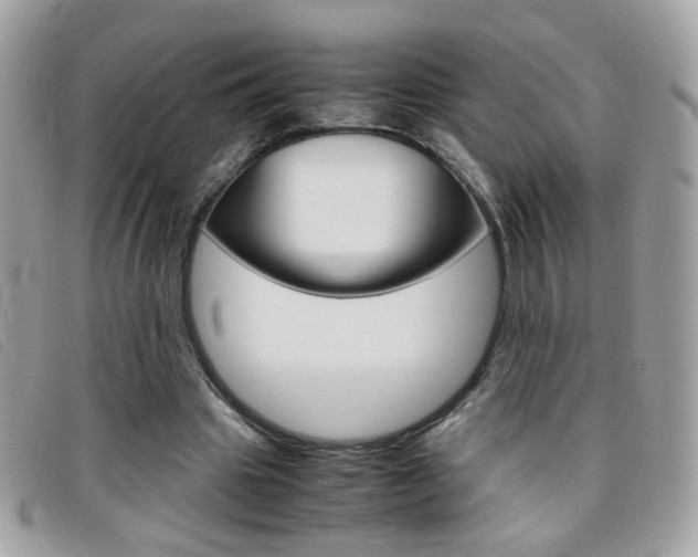 X0000095940441200801110858