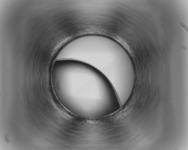 X0000095940442200801110858