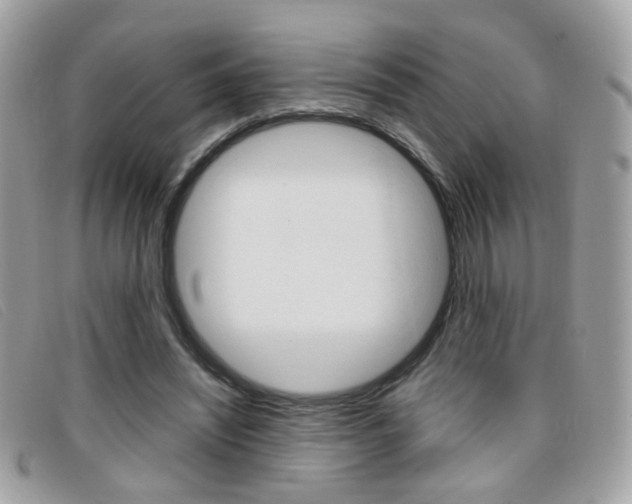 X0000095940444200801110858