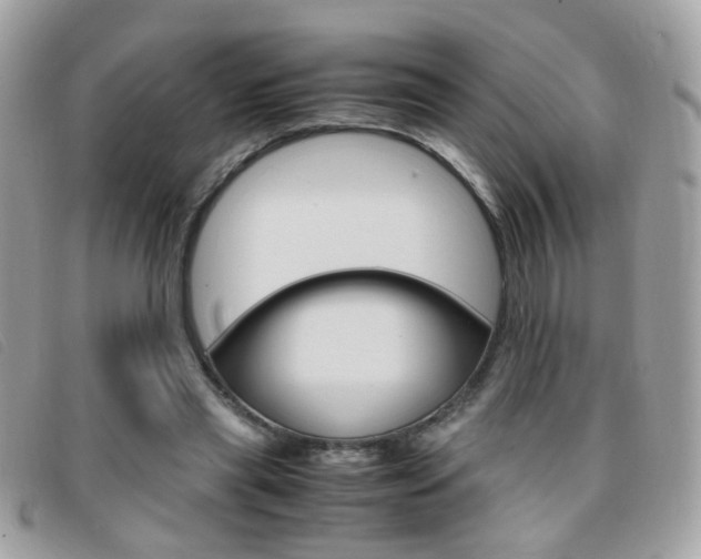 X0000095940445200801110858