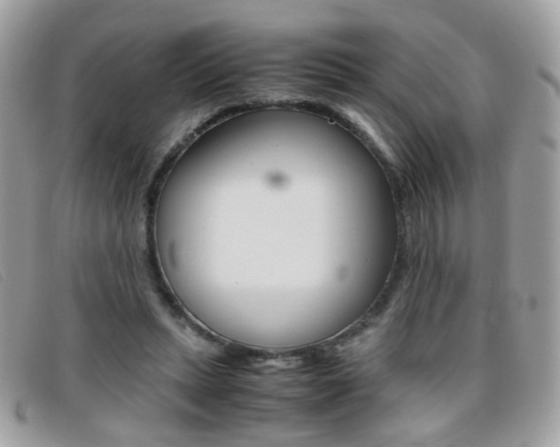 X0000095940447200801110858