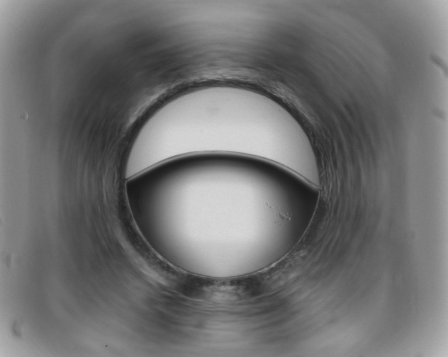 X0000095940448200801110858