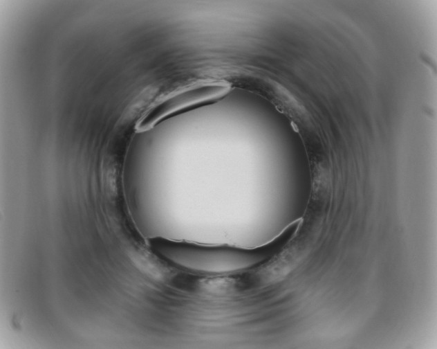 X0000095940452200801110858