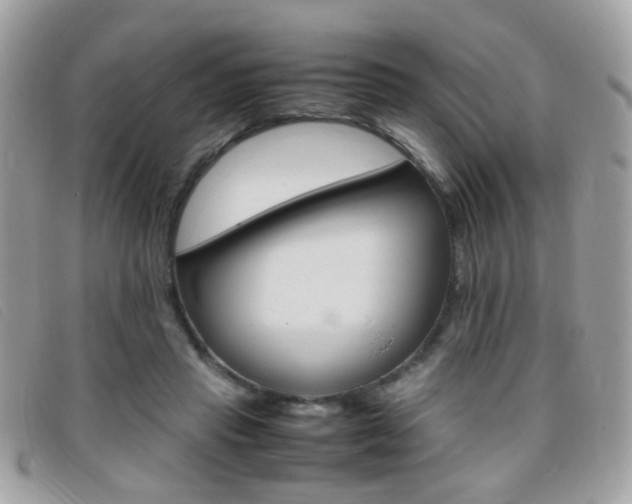 X0000095940453200801110858