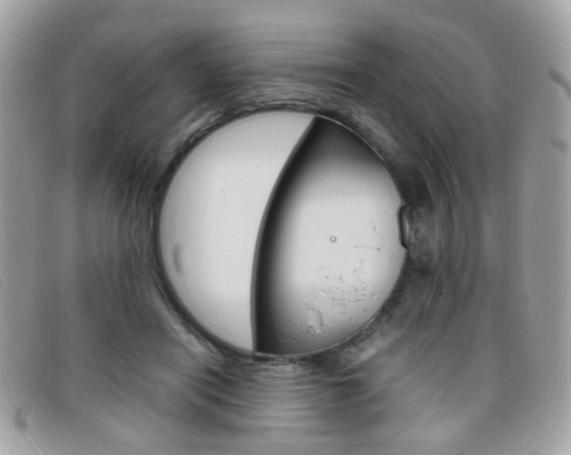 X0000095940454200801110858