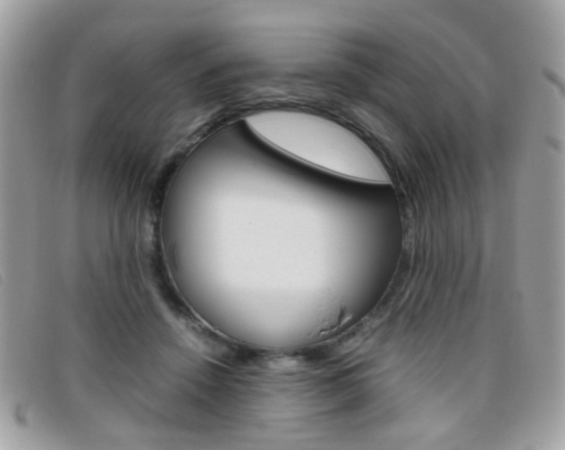X0000095940456200801110858