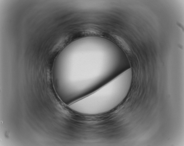 X0000095940457200801110858