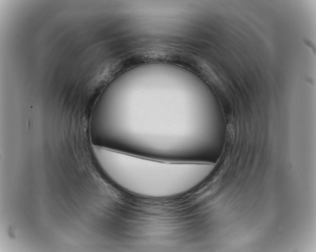 X0000095940458200801110858