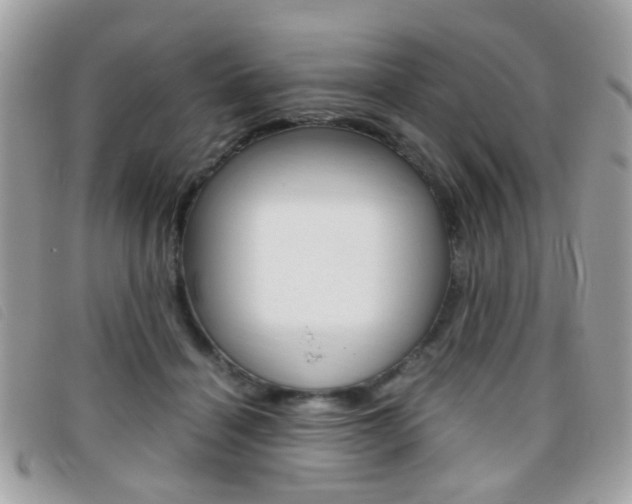 X0000095940460200801110858