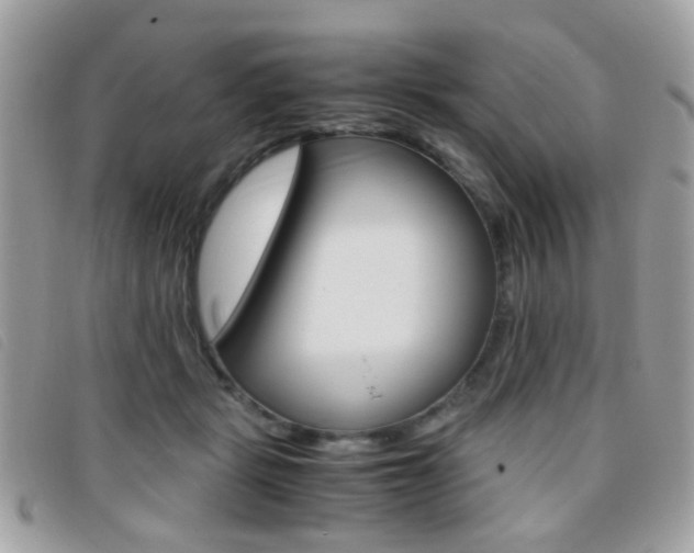 X0000095940461200801110858