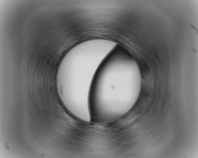X0000095940462200801110858