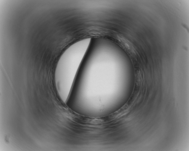X0000095940463200801110858